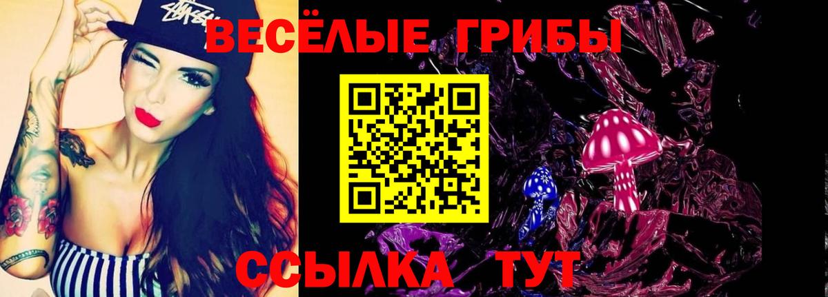 Галлюциногенные грибы ЛСД Урус-Мартан