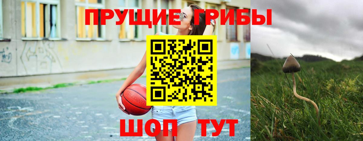 Галлюциногенные грибы GOLDEN TEACHER  Вход с VPN  Урус-Мартан  Галлюциногенные грибы прущие грибы 